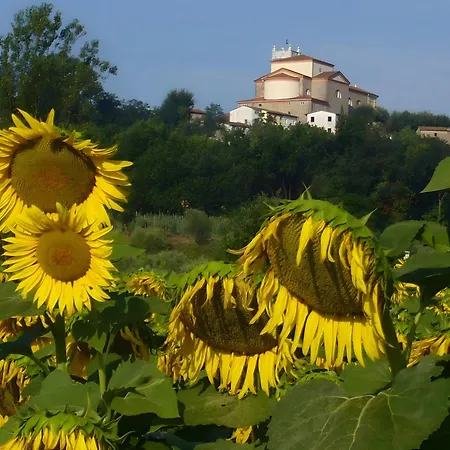 بيت للعطل Stonehouse - Lucca *