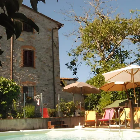 Stonehouse - Lucca *